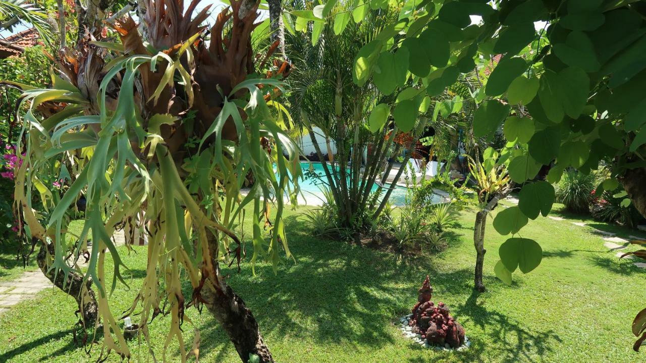 Villa Shantitara Bungalows Sanur  Bagian luar foto